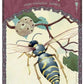 Wisdom of Avalon Oracle - 52 Cards